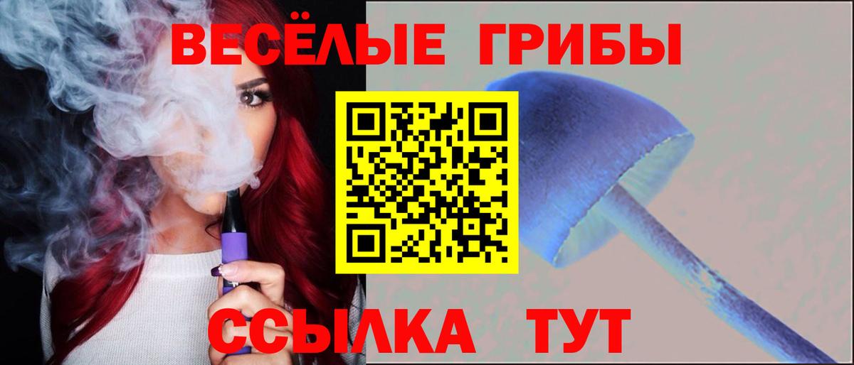 Галлюциногенные грибы Psilocybine cubensis  Псилоцибиновые грибы MAGIC MUSHROOMS  Егорьевск  Вход с VPN 